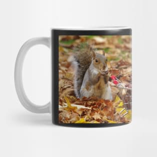 squirrel with shopping cart Mug